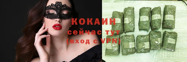 дживик Бронницы