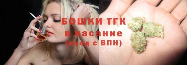дживик Бронницы