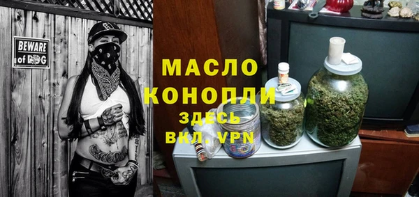 дживик Бронницы