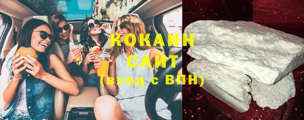 дживик Бронницы