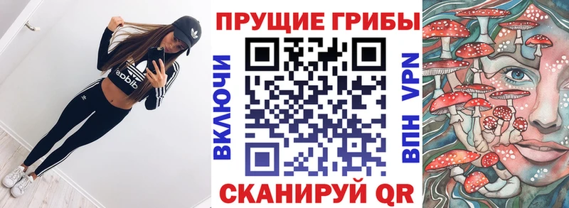 Купить  Тайшет  Псилоцибиновые грибы прущие грибы 